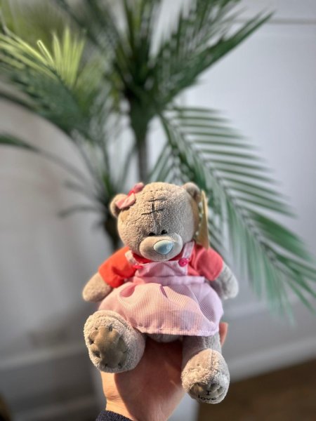 رمادي أفرهول زهري